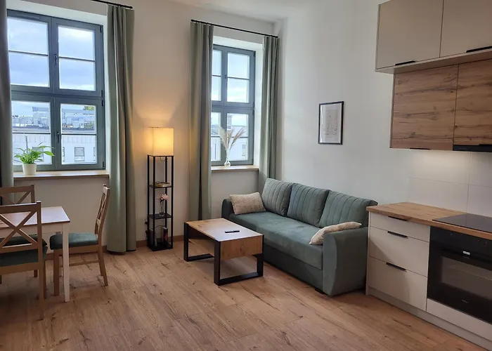 Kopernika41pl - Parking, Dostep Na Kod, Klimatyzacja, Winda Appartement Łódź