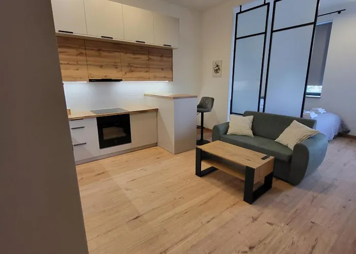 Appartement Kopernika41pl - Parking, Dostep Na Kod, Klimatyzacja, Winda Łódź