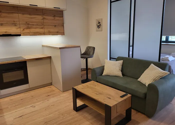 Kopernika41pl - Parking, Dostep Na Kod, Klimatyzacja, Winda Appartement *