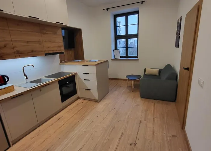 Apartamento Kopernika41pl - Parking, Dostep Na Kod, Klimatyzacja, Winda Łódź